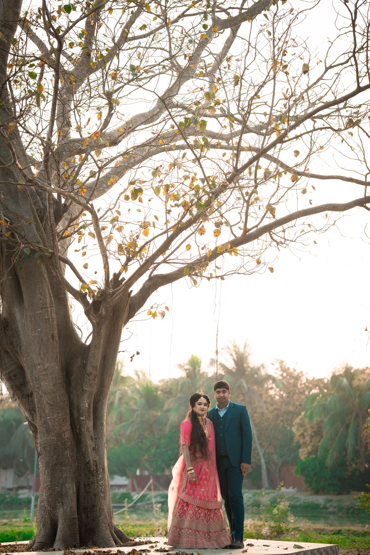 A couple beneath a vast old tree at golden hour